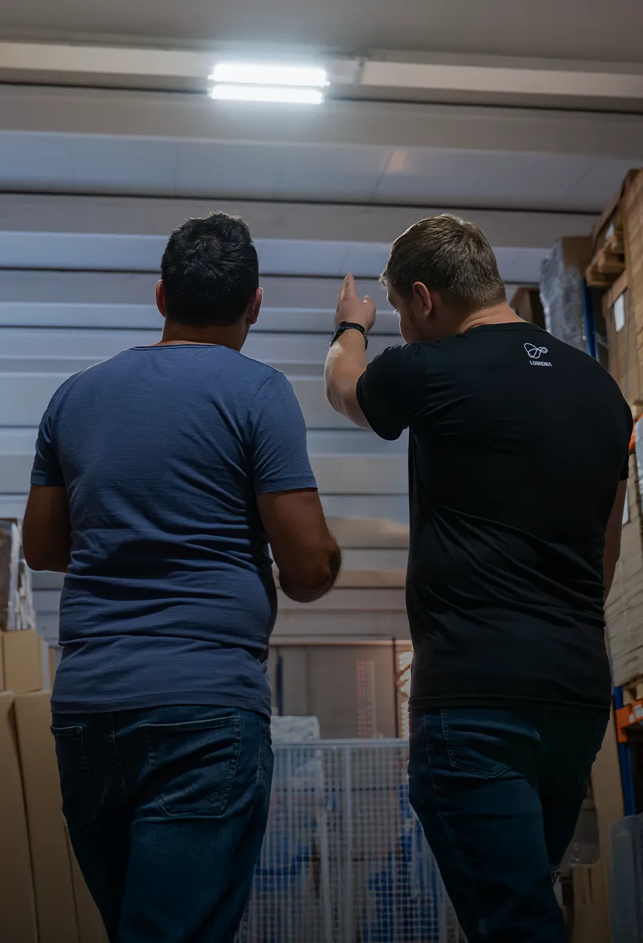 Dokumentacija in katalogi