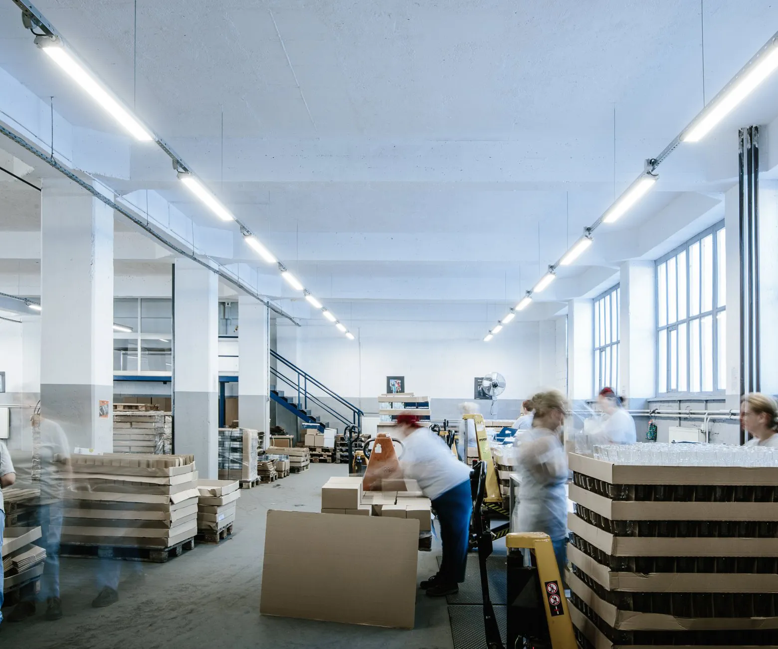 Referenca referenca-1.webp