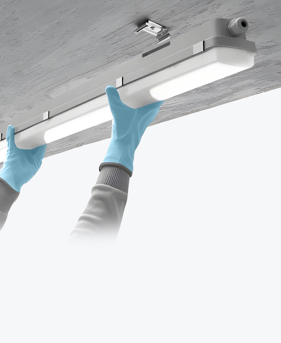 Galerijska slika W LUM FARM